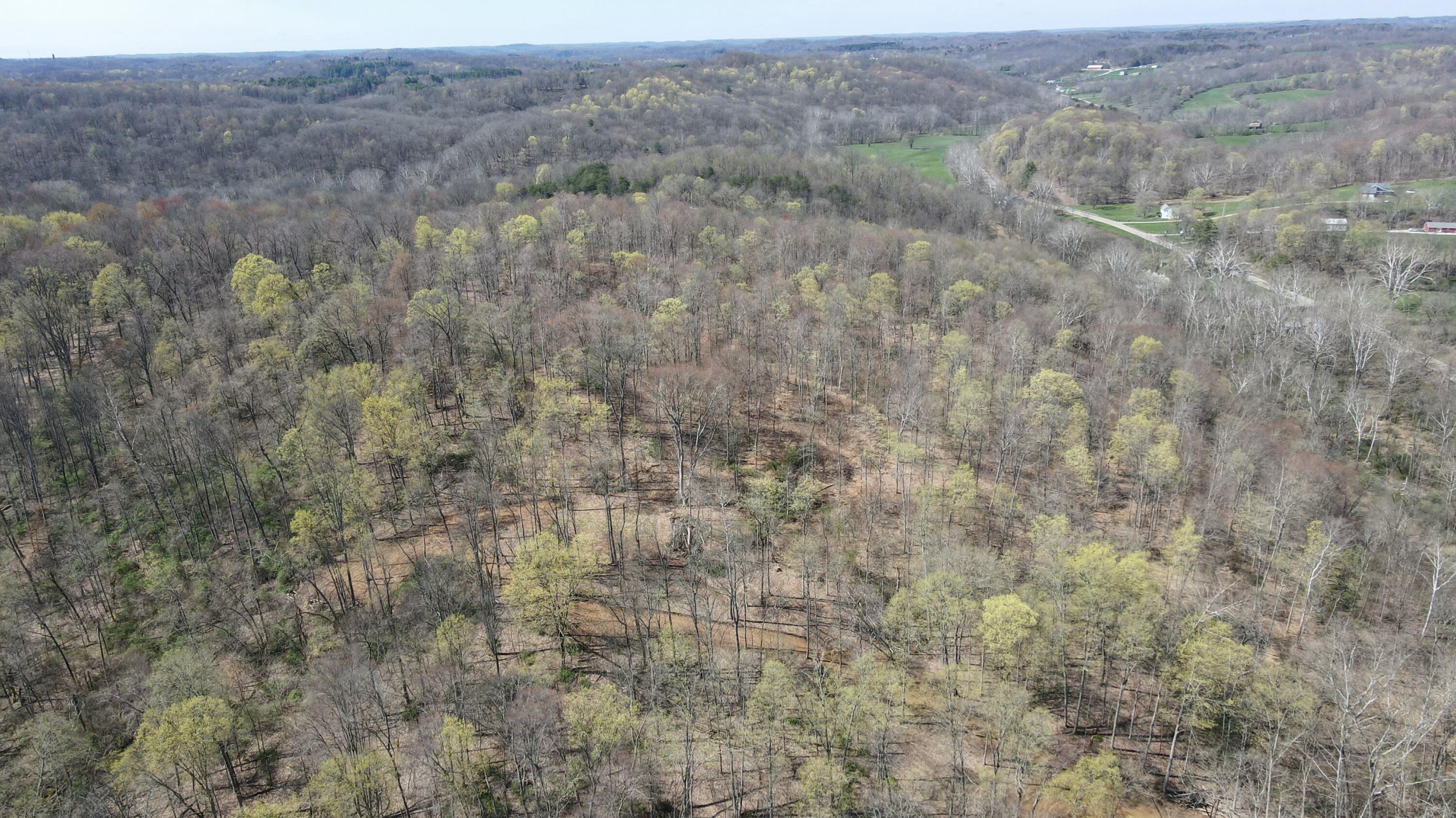 0 Swamp Road Logan, OH 43138 - Photo 21 of 28 tempImageBrkl9i