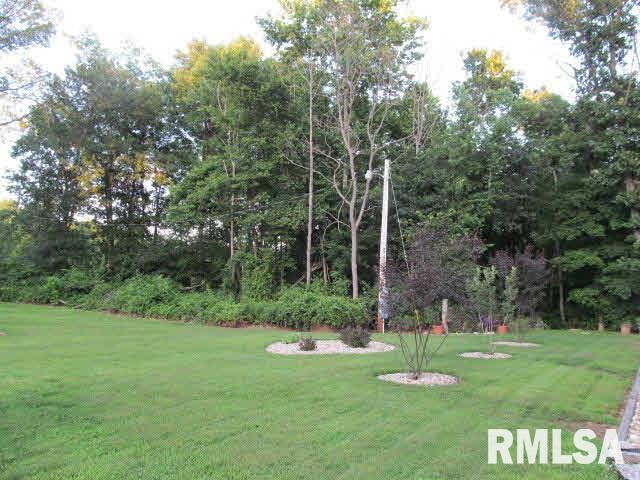 17729 State Rte 142 Opdyke, IL 62872 - Photo 33 of 37 Gallery Image 33