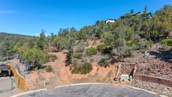 a view of a yard with a tree
