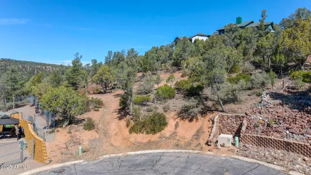 a view of a yard with a tree