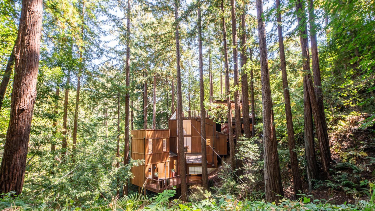 580 Ralston Avenue Mill Valley, CA 94941 - Photo 50 of 50 a view of forest