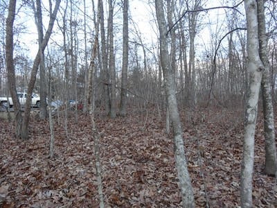 Anderson Estates Road Lewisburg, WV 24901 - Photo 2 of 17 Gallery Image 2