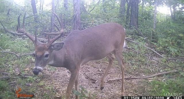21 Simms Road Park Hills, MO 63601 - Photo 1 of 9