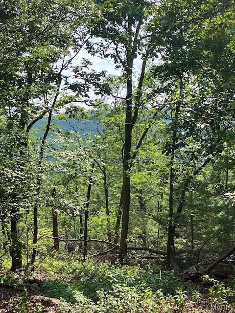 21 Simms Road Park Hills, MO 63601 - Photo 4 of 9