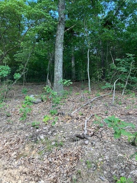 21 Simms Road Park Hills, MO 63601 - Photo 6 of 9