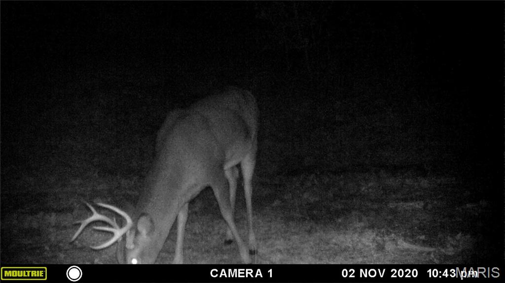21 Simms Road Park Hills, MO 63601 - Photo 7 of 9