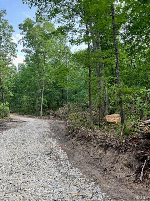 21 Simms Road Park Hills, MO 63601 - Photo 8 of 9