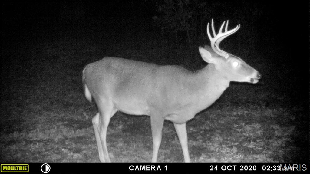 21 Simms Road Park Hills, MO 63601 - Photo 9 of 9