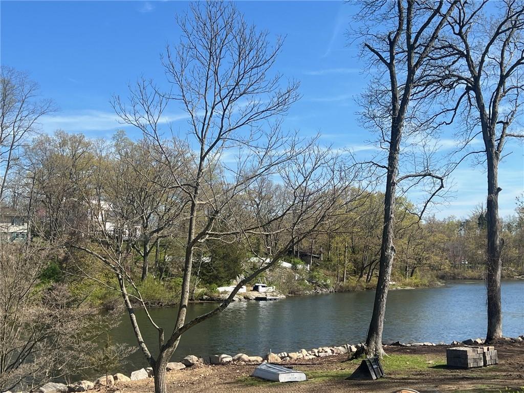 a view of lake with a tree