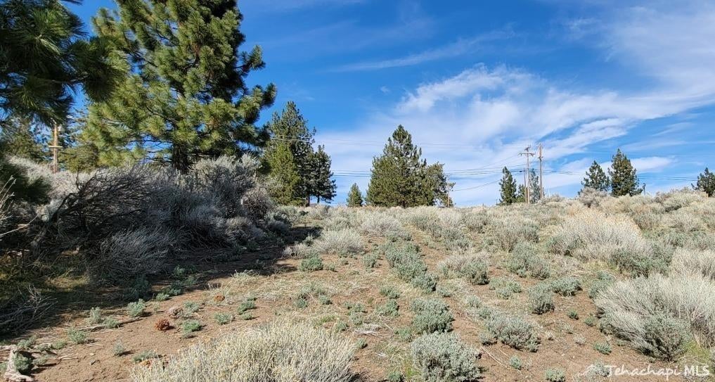 26936 Stirrup Way Tehachapi, CA 93561 - Photo 6 of 10 Gallery Image 6