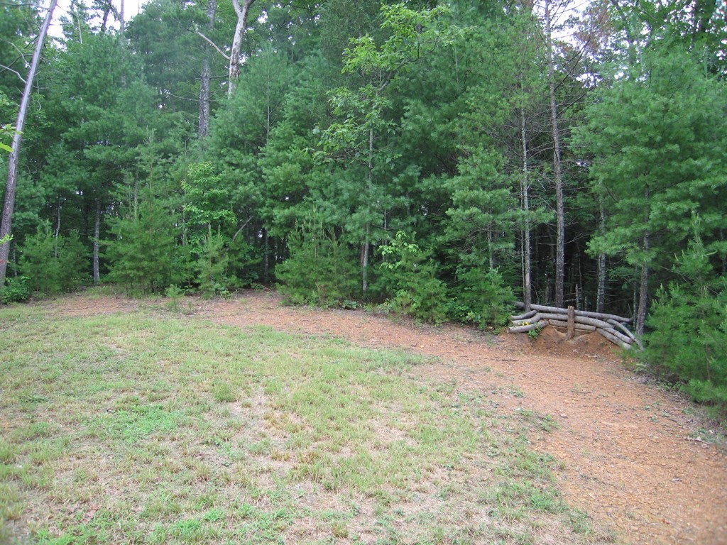 747 Tinker Branch Road Reliance, TN 37369 - Photo 24 of 34
