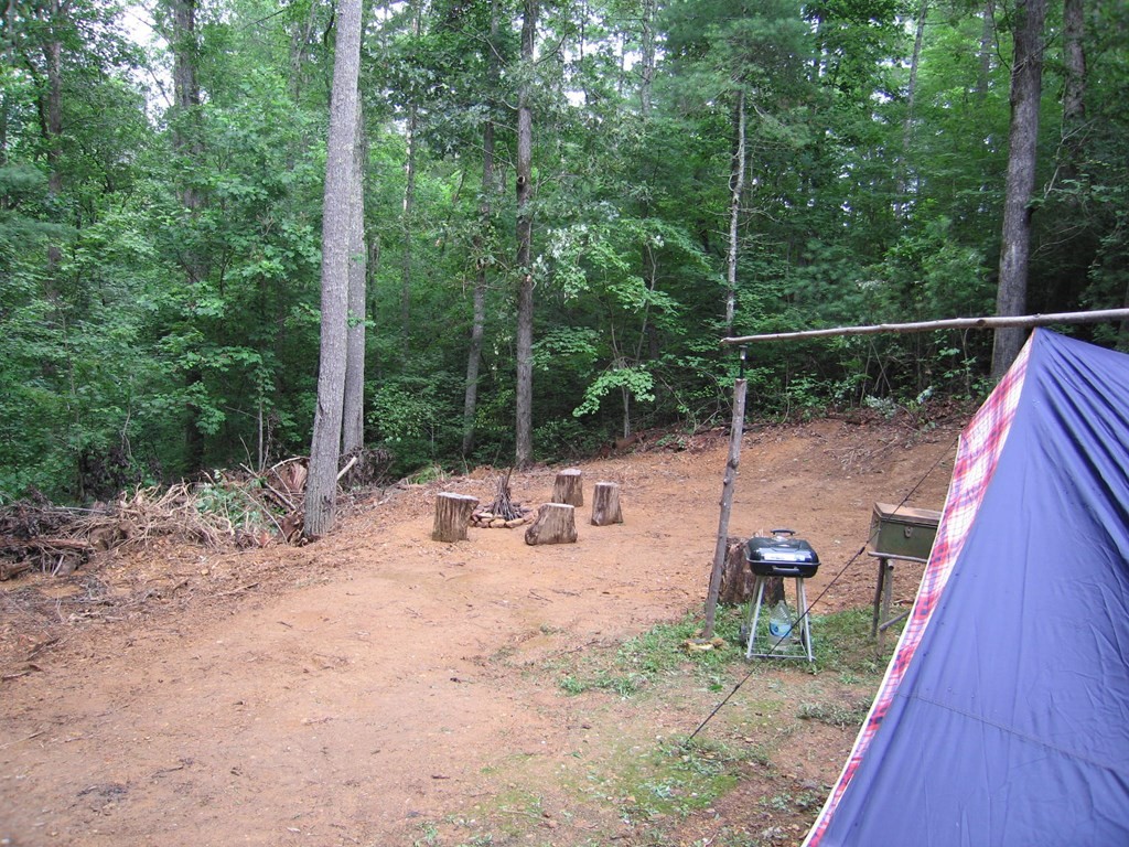 747 Tinker Branch Road Reliance, TN 37369 - Photo 30 of 34