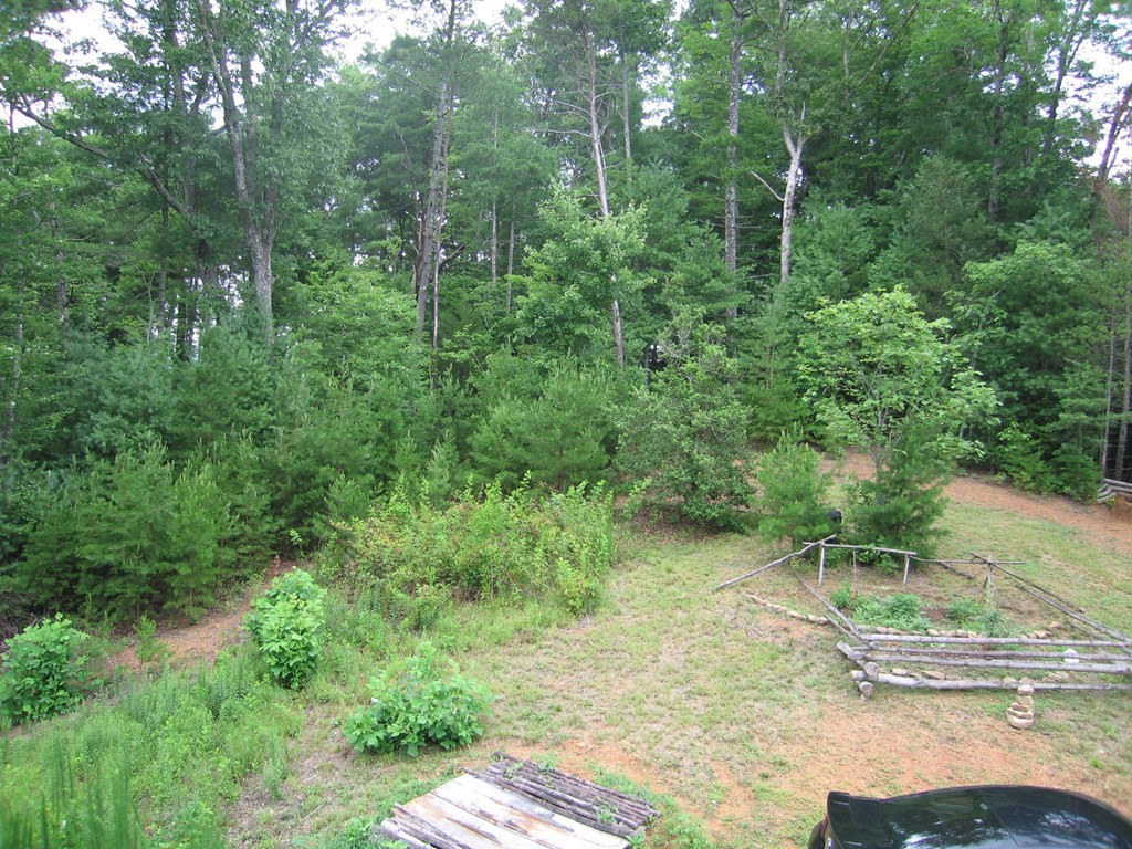 747 Tinker Branch Road Reliance, TN 37369 - Photo 3 of 34