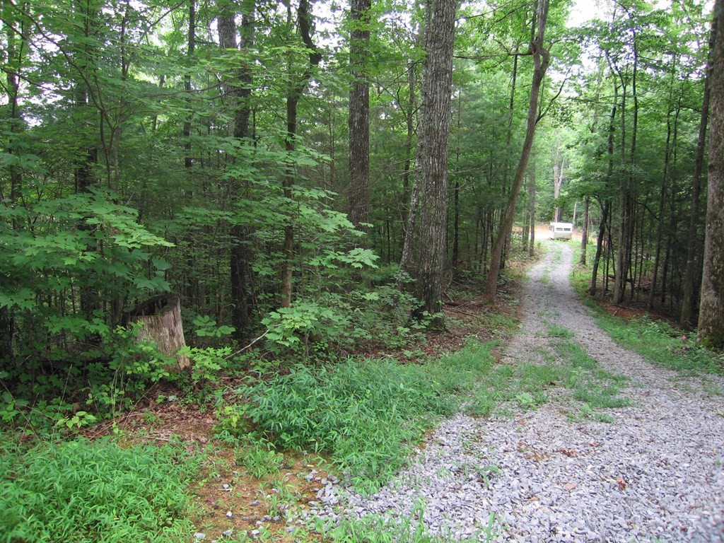 747 Tinker Branch Road Reliance, TN 37369 - Photo 34 of 34