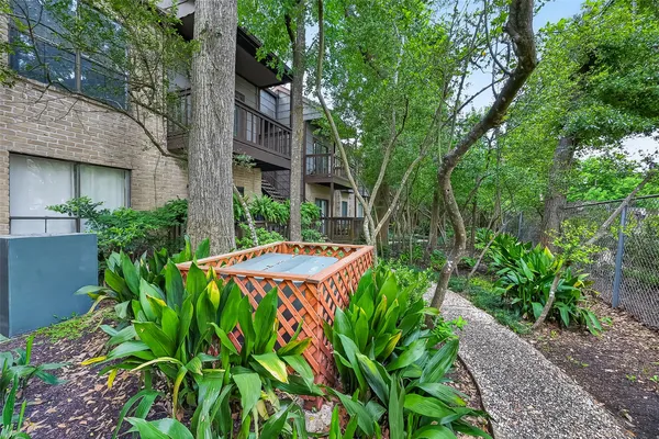 a view of a garden with plants
