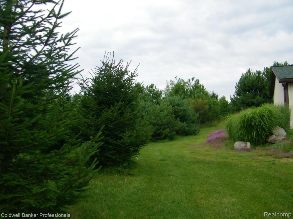 4107 Jones Road North Branch, MI 48461 - Photo 18 of 36 100_5896.jpg