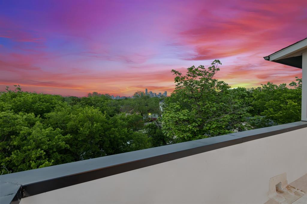 415 North Patton Avenue Dallas, TX 75203 - Photo 7 of 20 Expansive views of the surrounding area and distant city skyline, framed by lush treetops