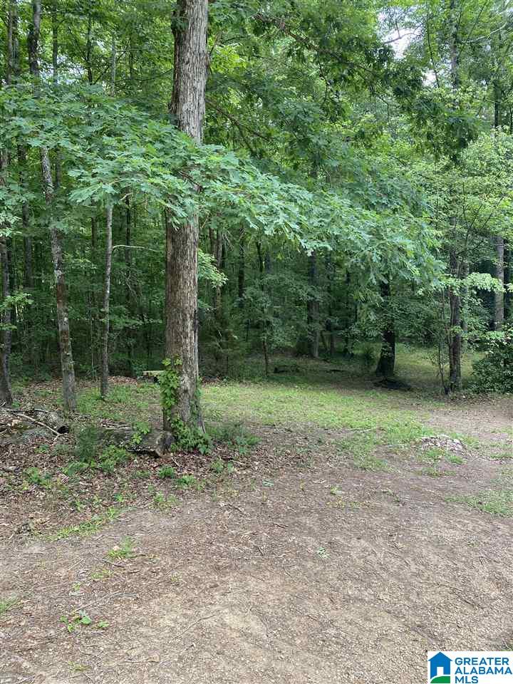 20541 Hephzibah Church Road McCalla, AL 35111 - Photo 33 of 33 Gallery Image 33