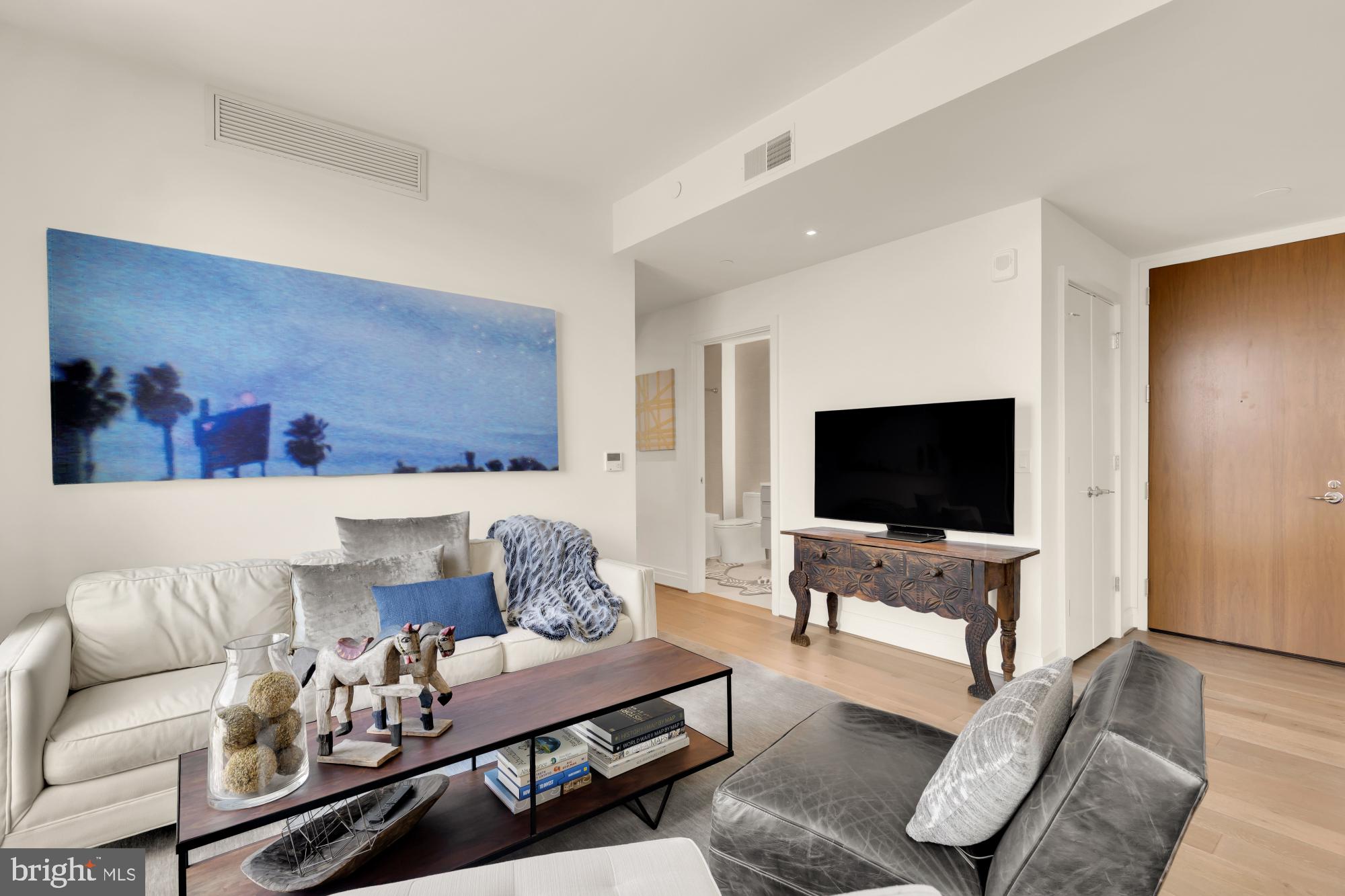 810 O Street Northwest, Unit 901 Washington, DC 20001 - Photo 16 of 38 a living room with furniture and a flat screen tv