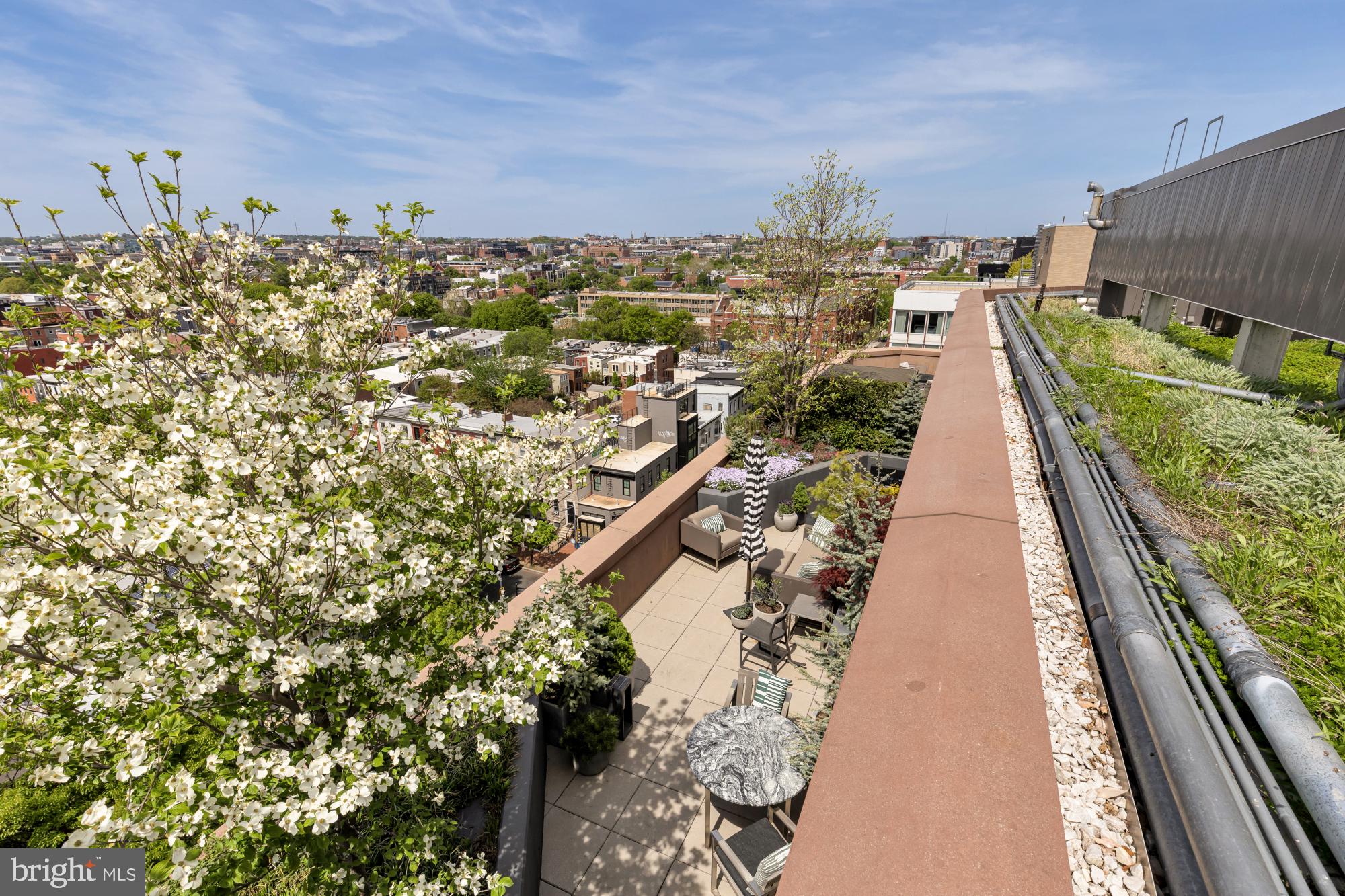 810 O Street Northwest, Unit 901 Washington, DC 20001 - Photo 3 of 38 a view of a city