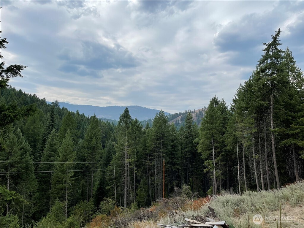 57 Slippery Hill Lane Republic, WA 99166 - Photo 23 of 32 a view of a backyard of a house