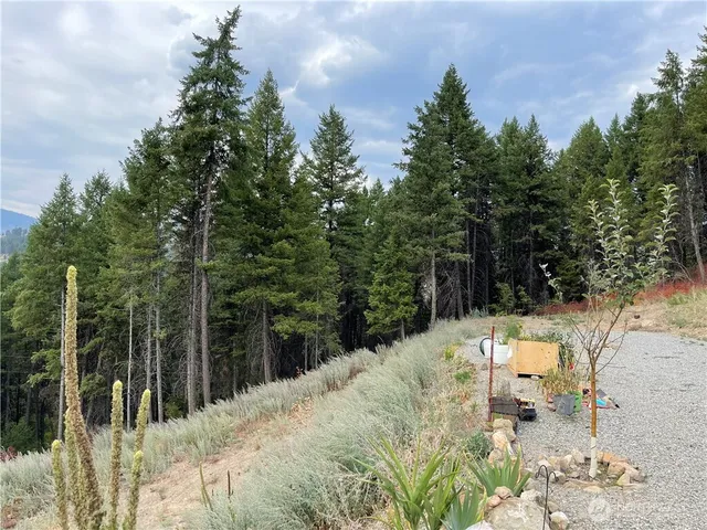 a view of back yard of the house