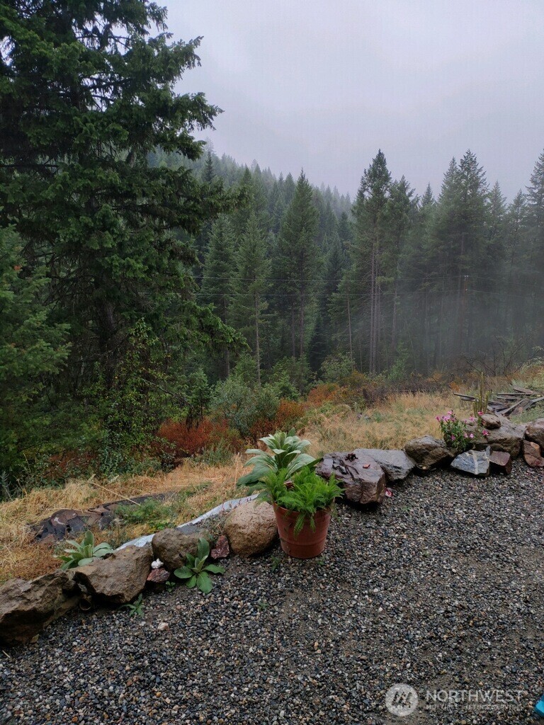 57 Slippery Hill Lane Republic, WA 99166 - Photo 30 of 32 a view of a street with some trees