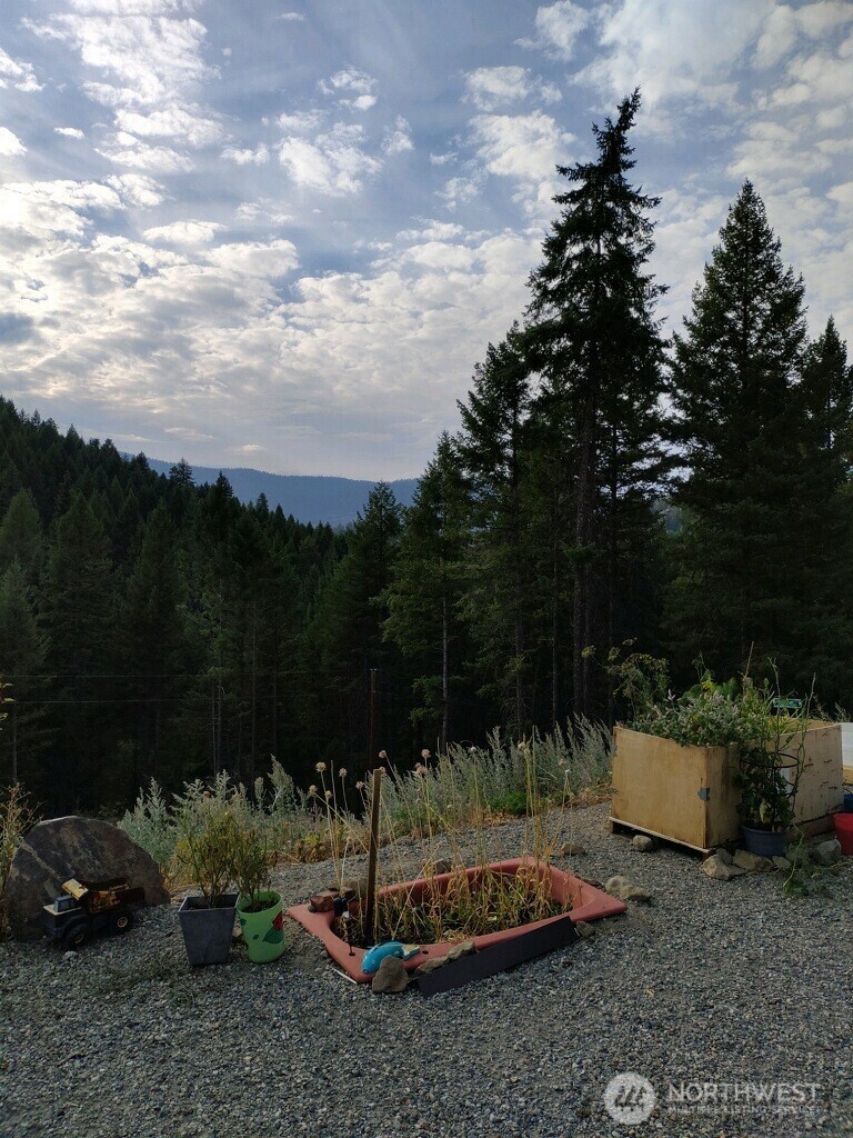57 Slippery Hill Lane Republic, WA 99166 - Photo 31 of 32 a view of a backyard with plants and trees
