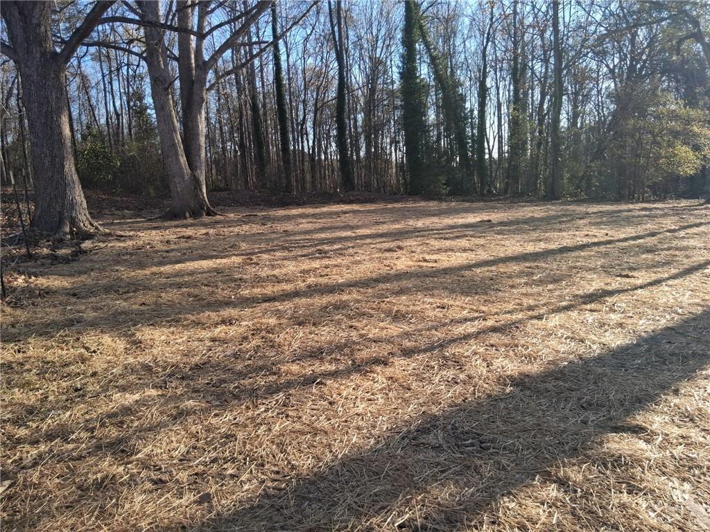 151 Richardson Street Toccoa, GA 30577 - Photo 41 of 48 a view of space with trees