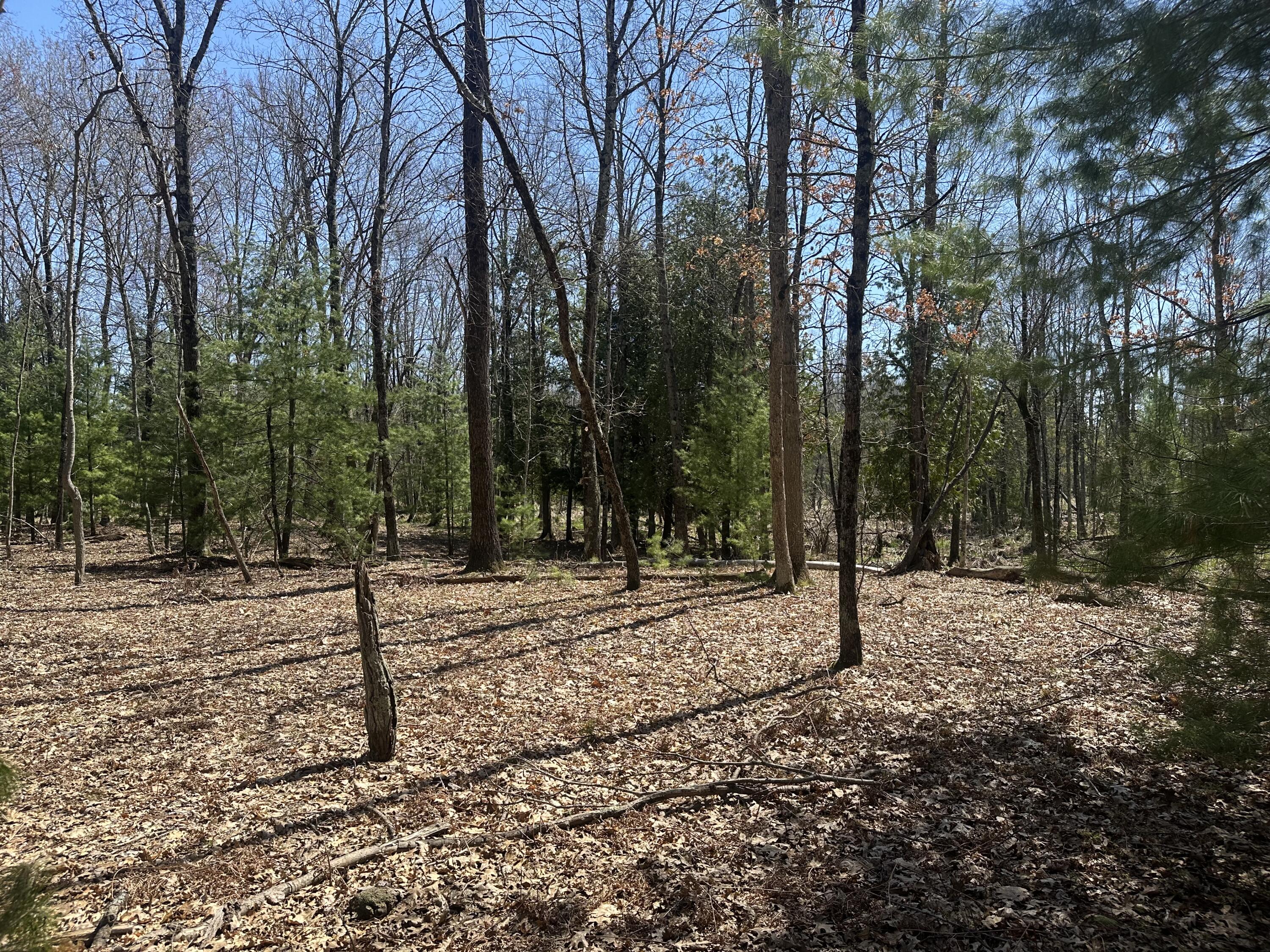 604 Beaver Road Bitely, MI 49309 - Photo 103 of 106 IMG_8638