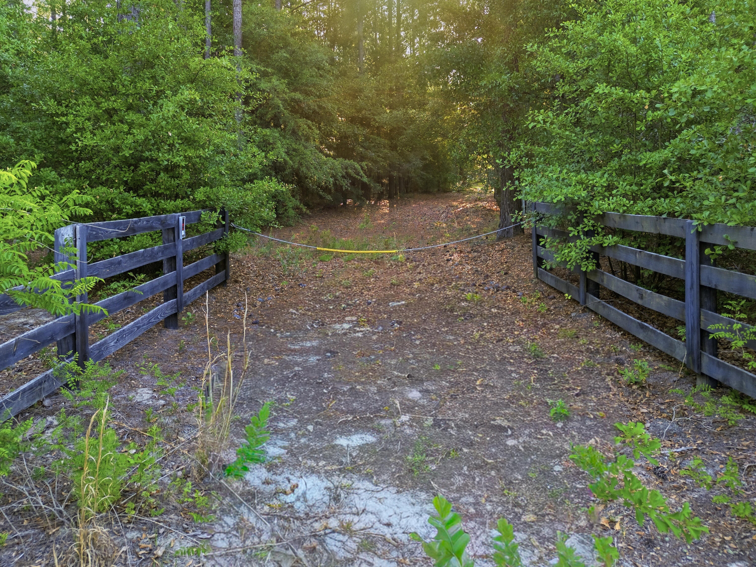 15-acres South Dixie Road Wagener, SC 29164 - Photo 2 of 8