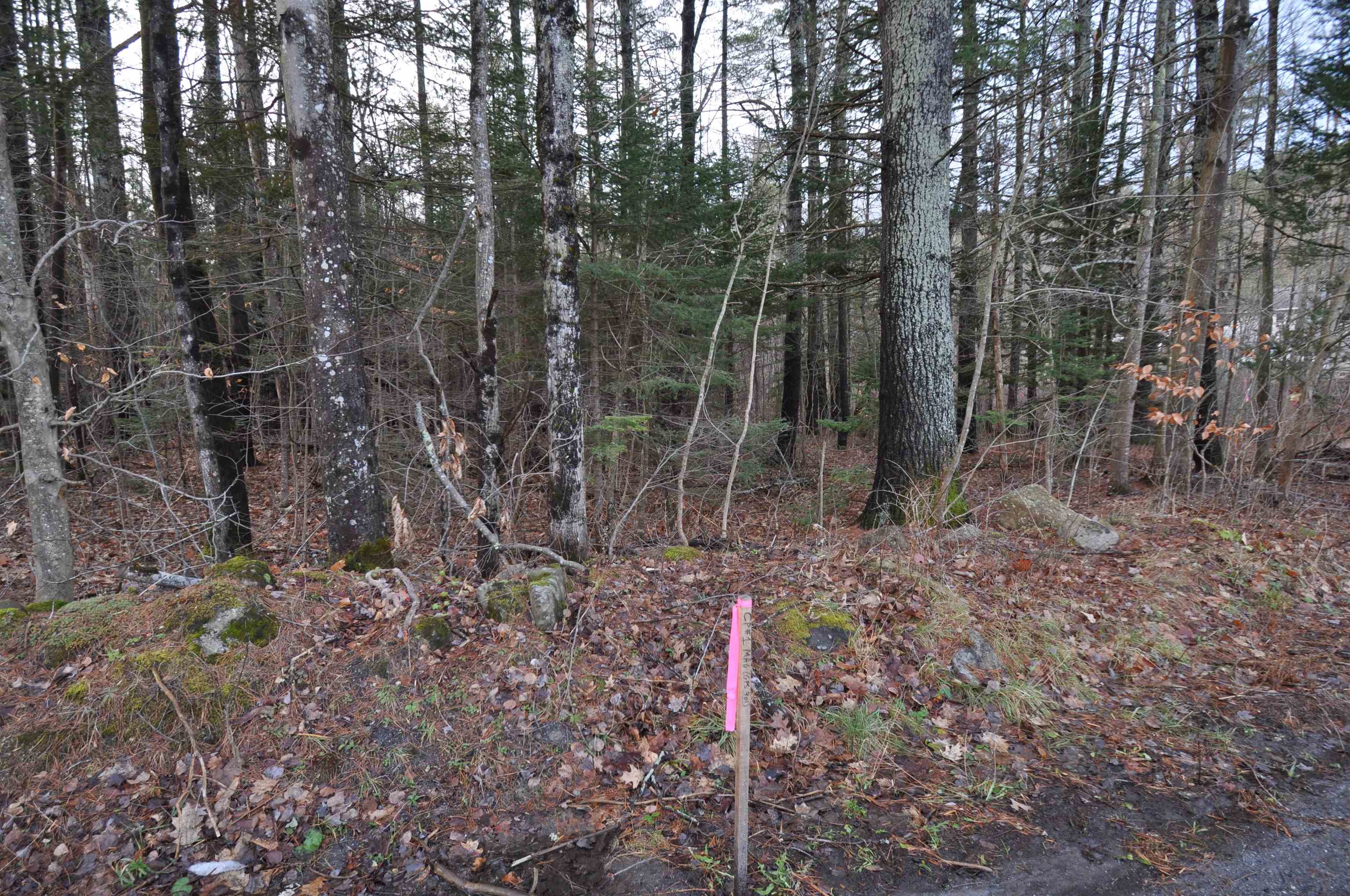 0 Beech Street Sunapee, NH 03782 - Photo 6 of 10