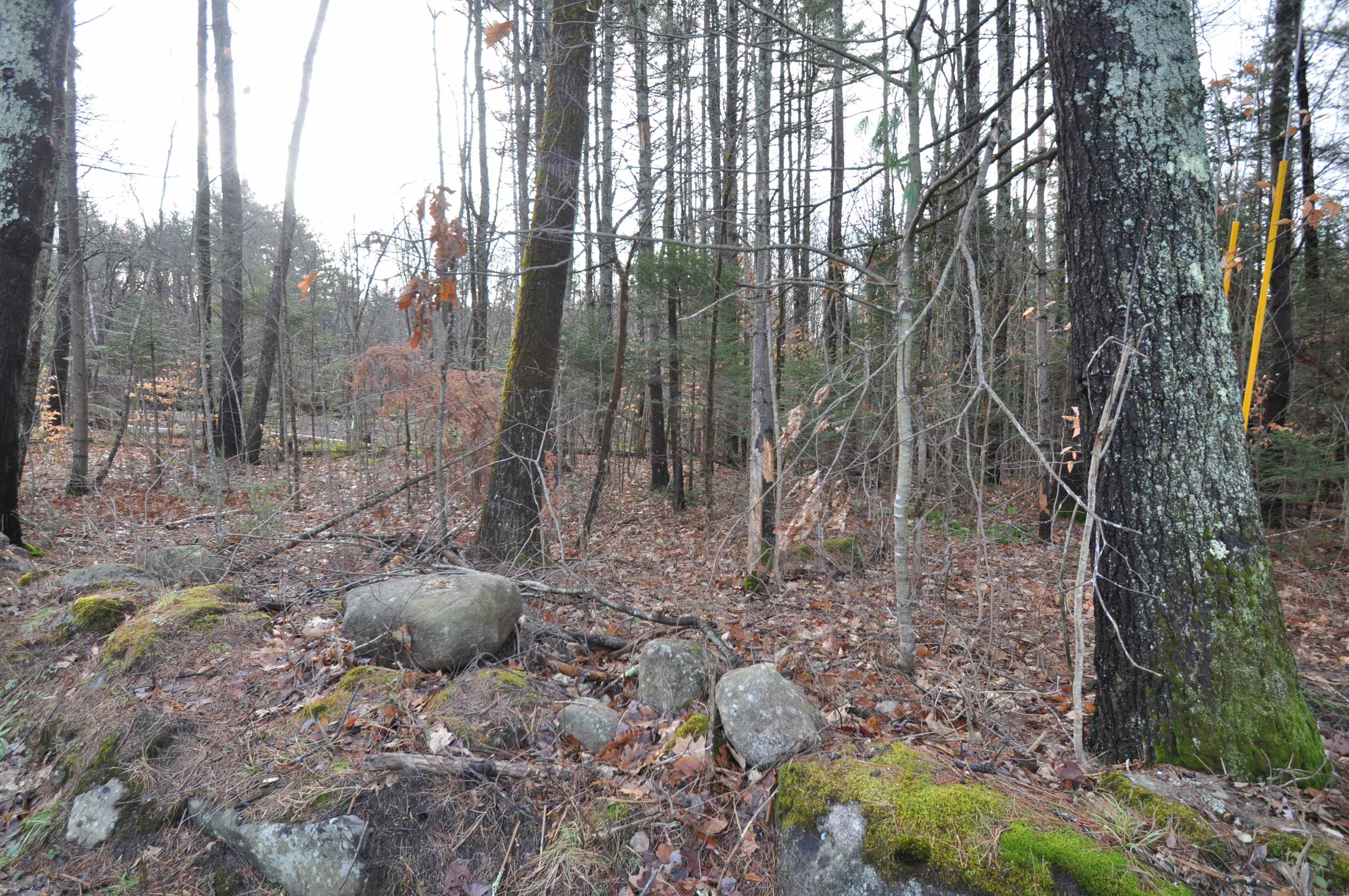 0 Beech Street Sunapee, NH 03782 - Photo 7 of 10