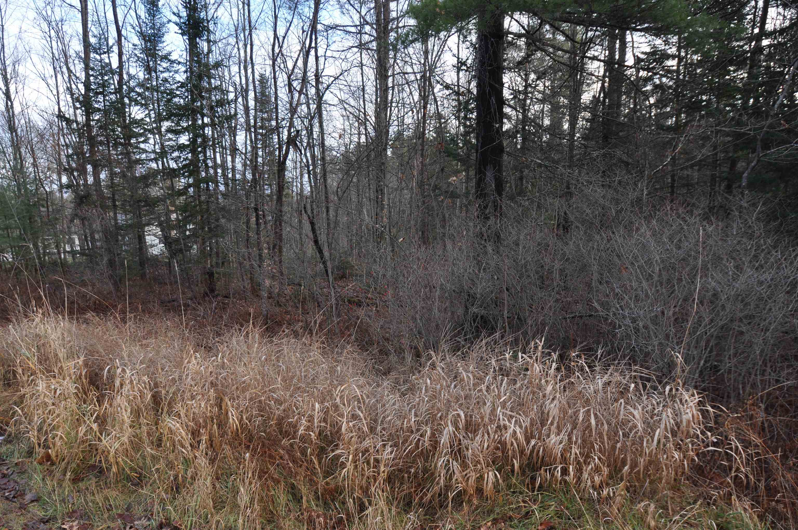 0 Beech Street Sunapee, NH 03782 - Photo 9 of 10