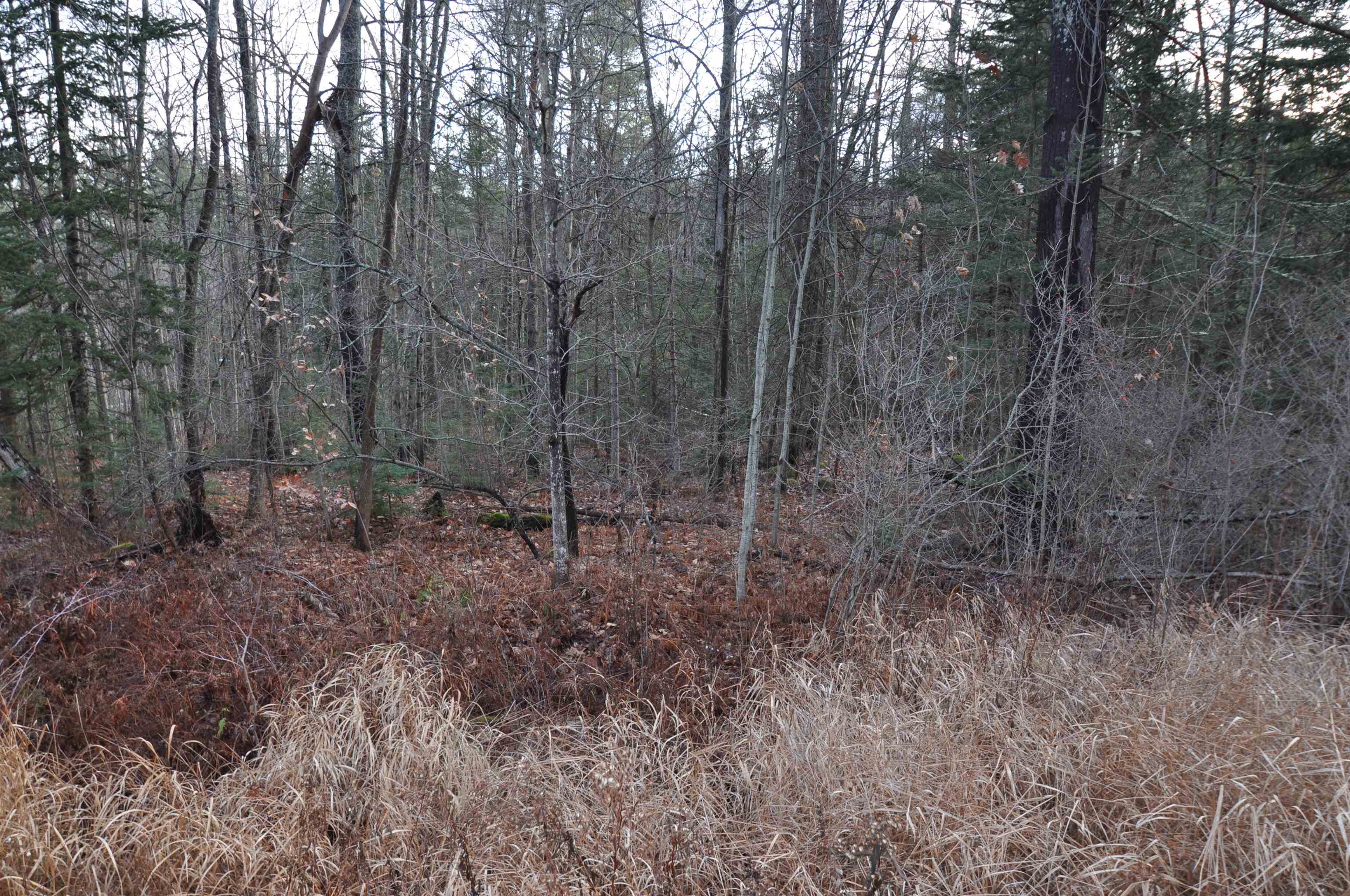 0 Beech Street Sunapee, NH 03782 - Photo 10 of 10