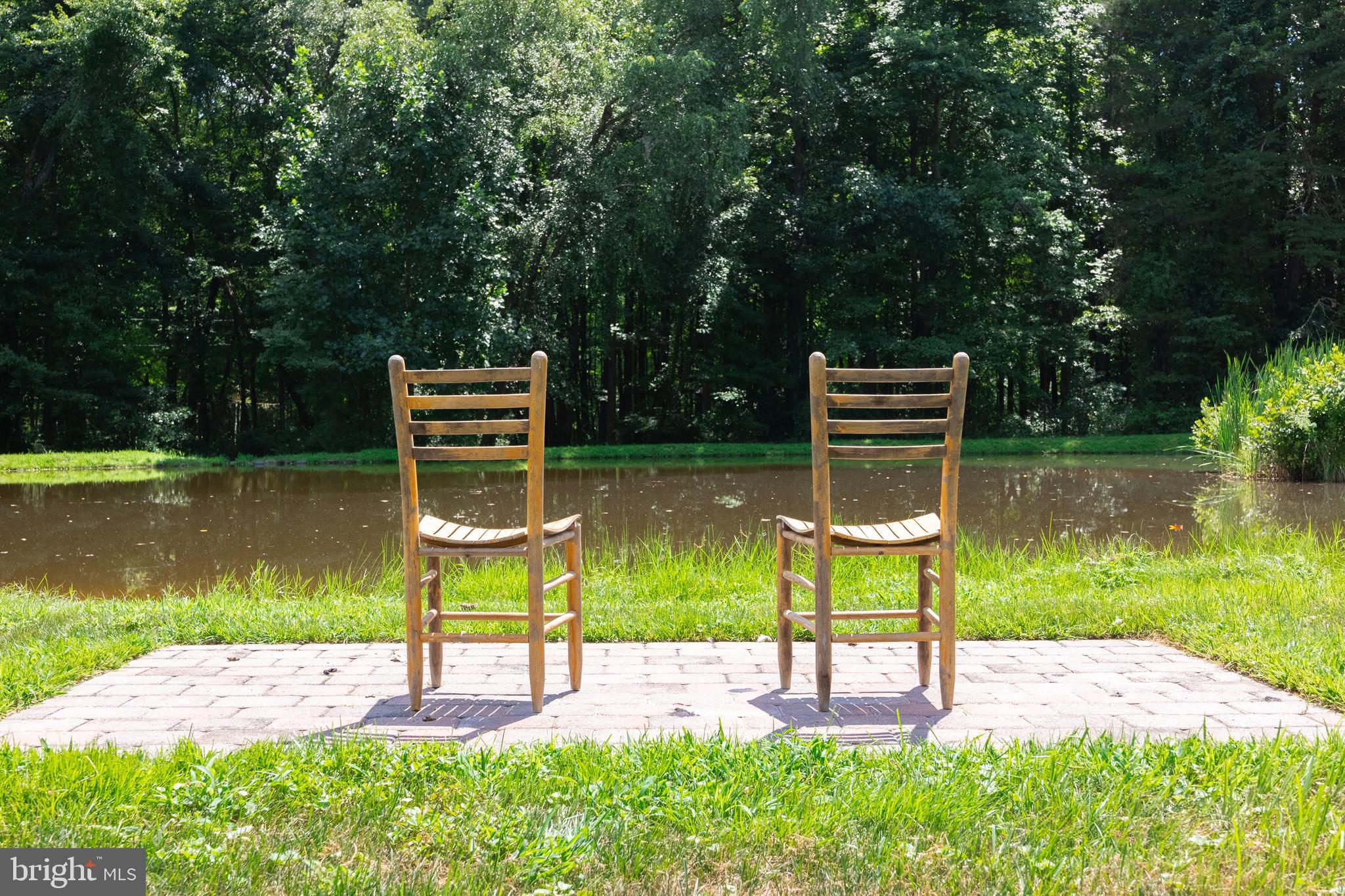 24060 New Mountain Road Aldie, VA 20105 - Photo 5 of 57 Relax and enjoy nature