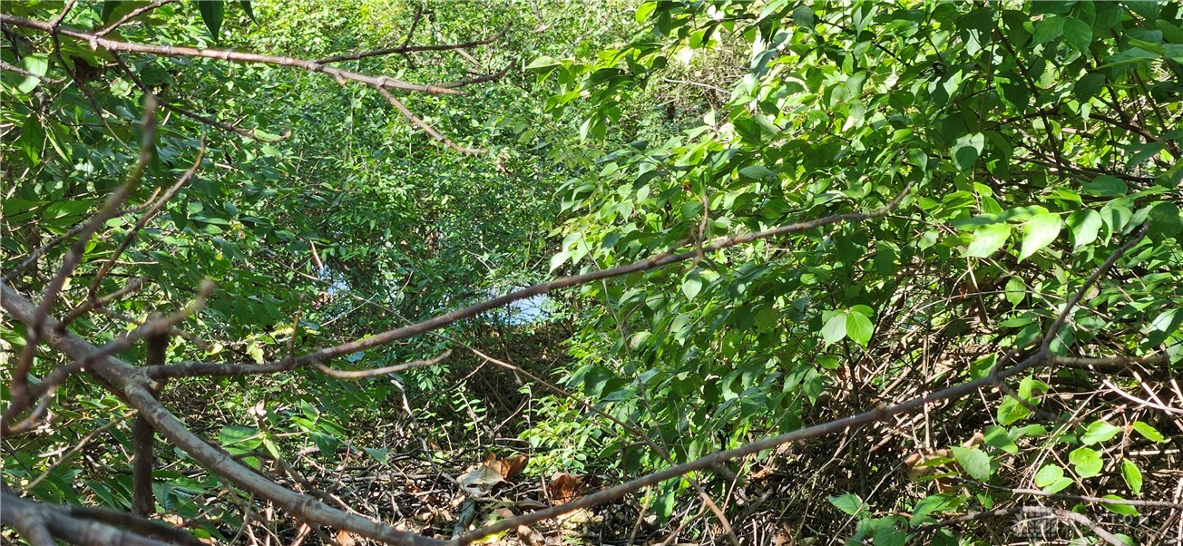 3025 Old Troy Pike Riverside, OH 45404 - Photo 23 of 23 View of the grounds to the river that could be cleared out