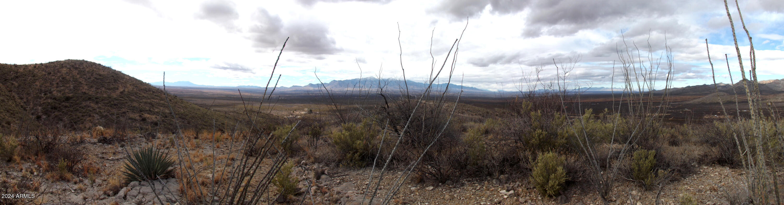 Lot 2 West Red Mountain Road, Unit 2 Bisbee, AZ 85603 - Photo 3 of 14 a view of a yard