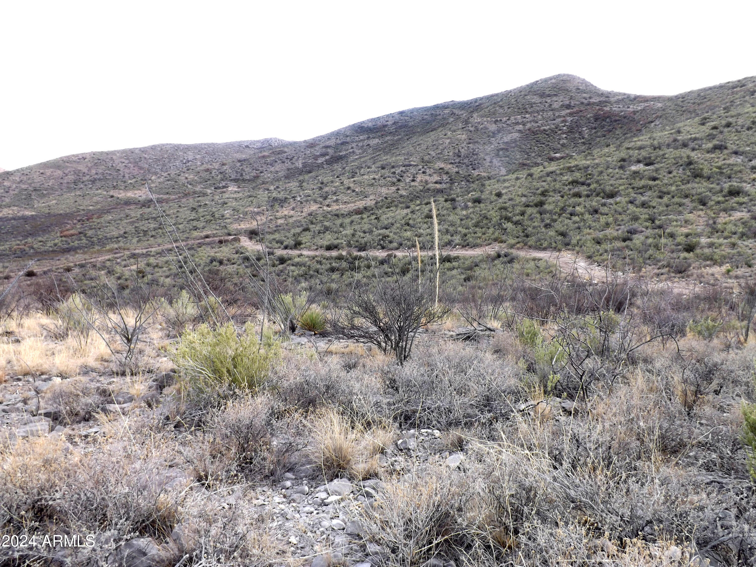 Lot 2 West Red Mountain Road, Unit 2 Bisbee, AZ 85603 - Photo 7 of 14 a view of a dry field