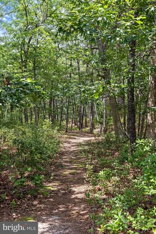 a view of a lake with a garden