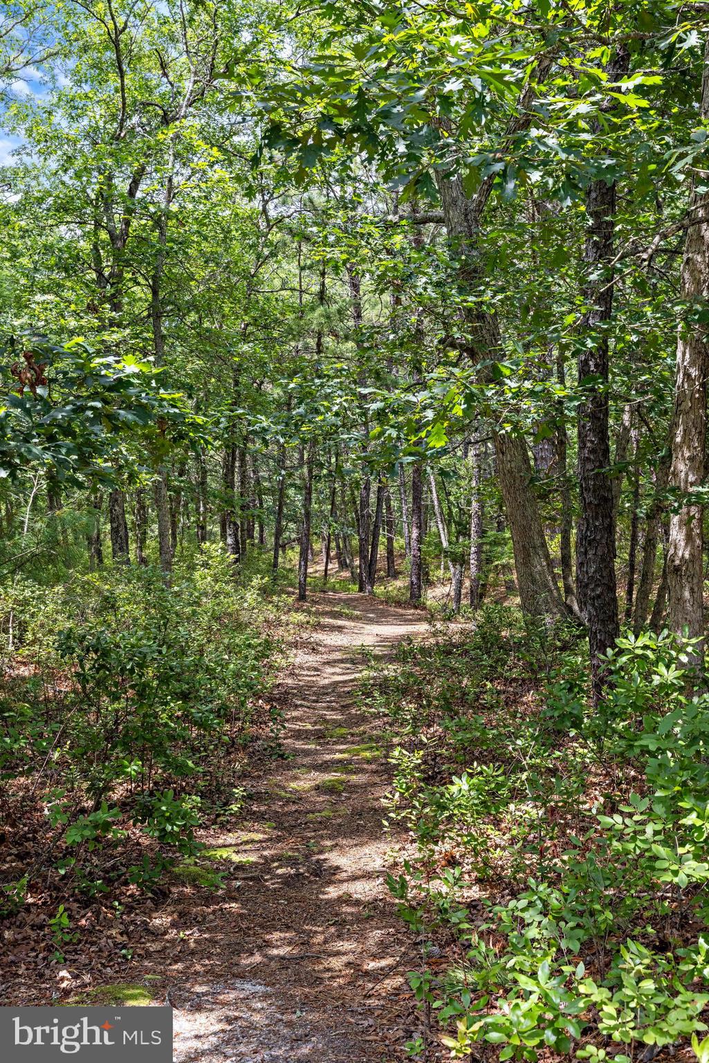 37 Fir Road Manahawkin, NJ 08050 - Photo 39 of 40 a view of yard