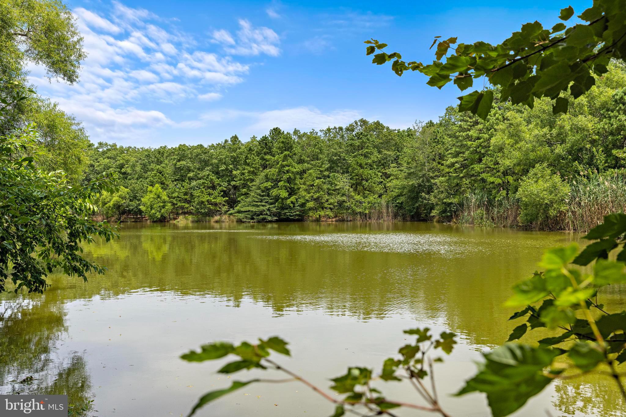 37 Fir Road Manahawkin, NJ 08050 - Photo 40 of 40 a view of a lake with a garden