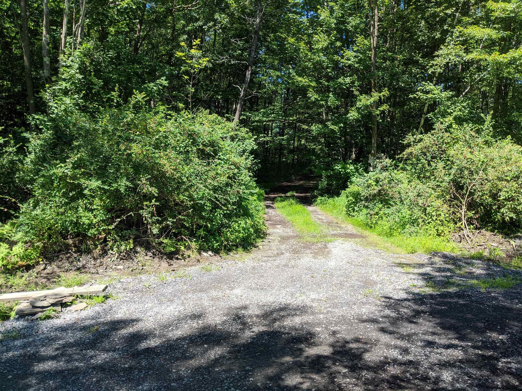 Mcmillan Road Delanson, NY 12053 - Photo 1 of 11 Photo 1