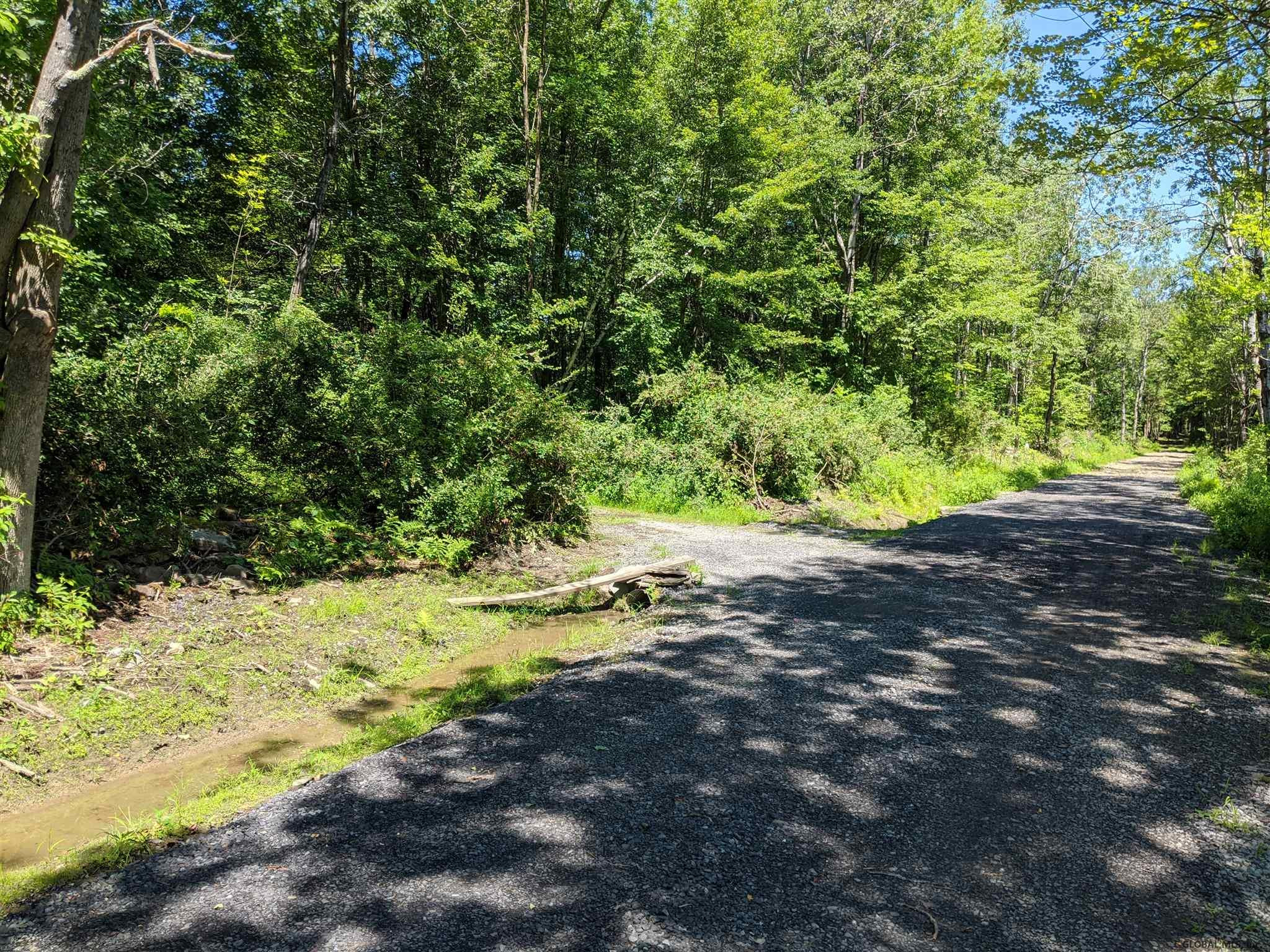 Mcmillan Road Delanson, NY 12053 - Photo 2 of 11 Photo 2