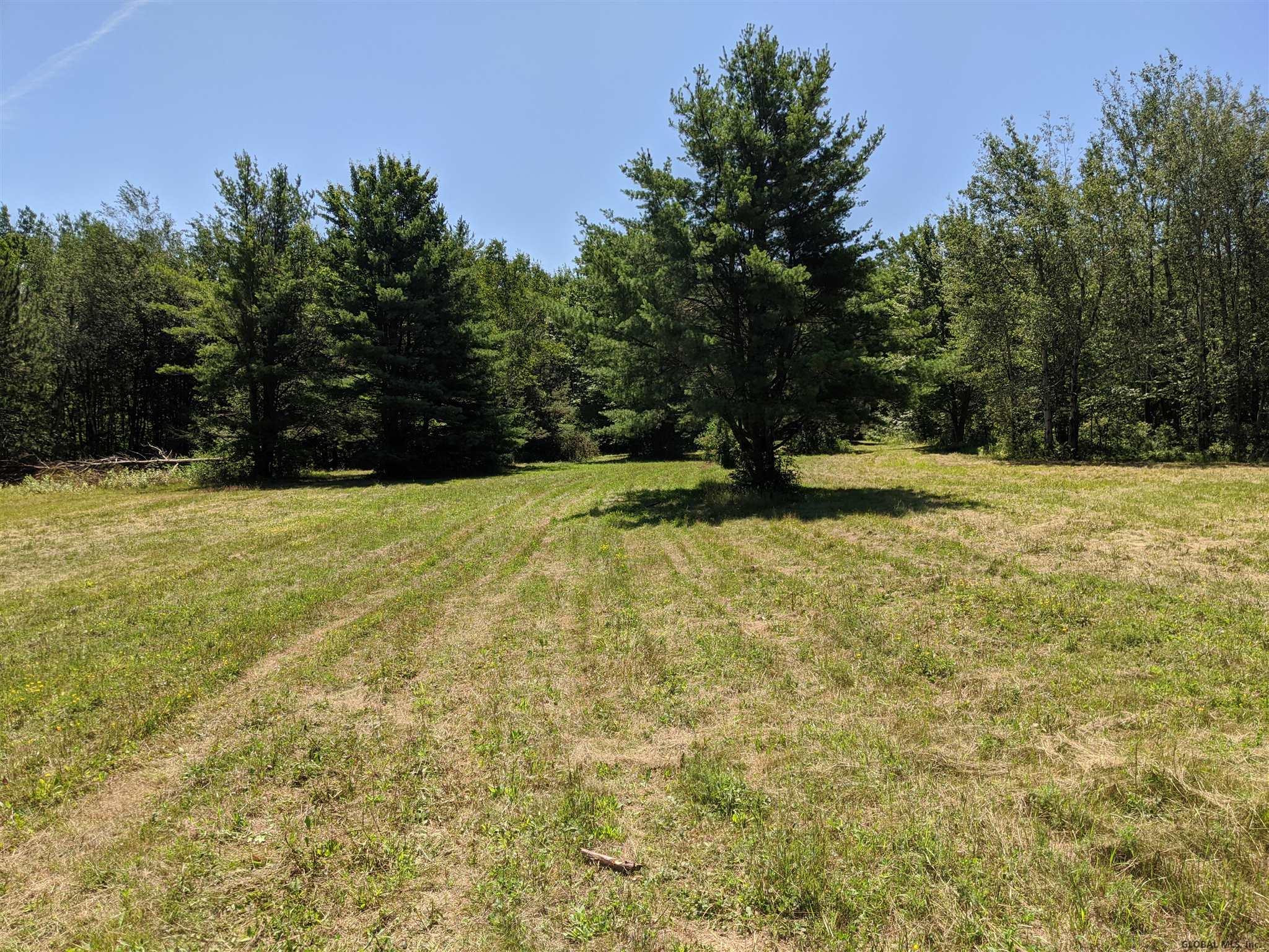 Mcmillan Road Delanson, NY 12053 - Photo 3 of 11 Photo 3
