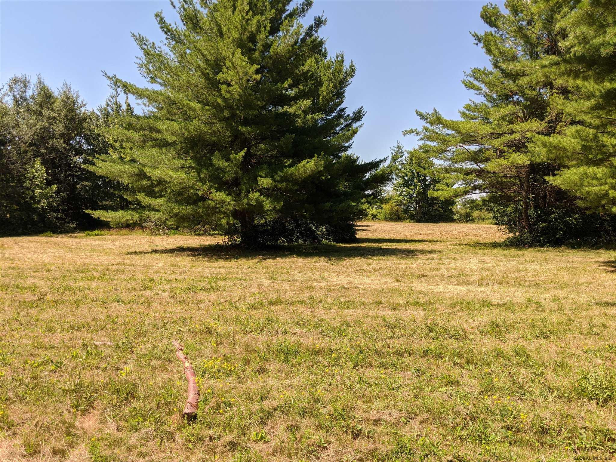 Mcmillan Road Delanson, NY 12053 - Photo 4 of 11 Photo 4