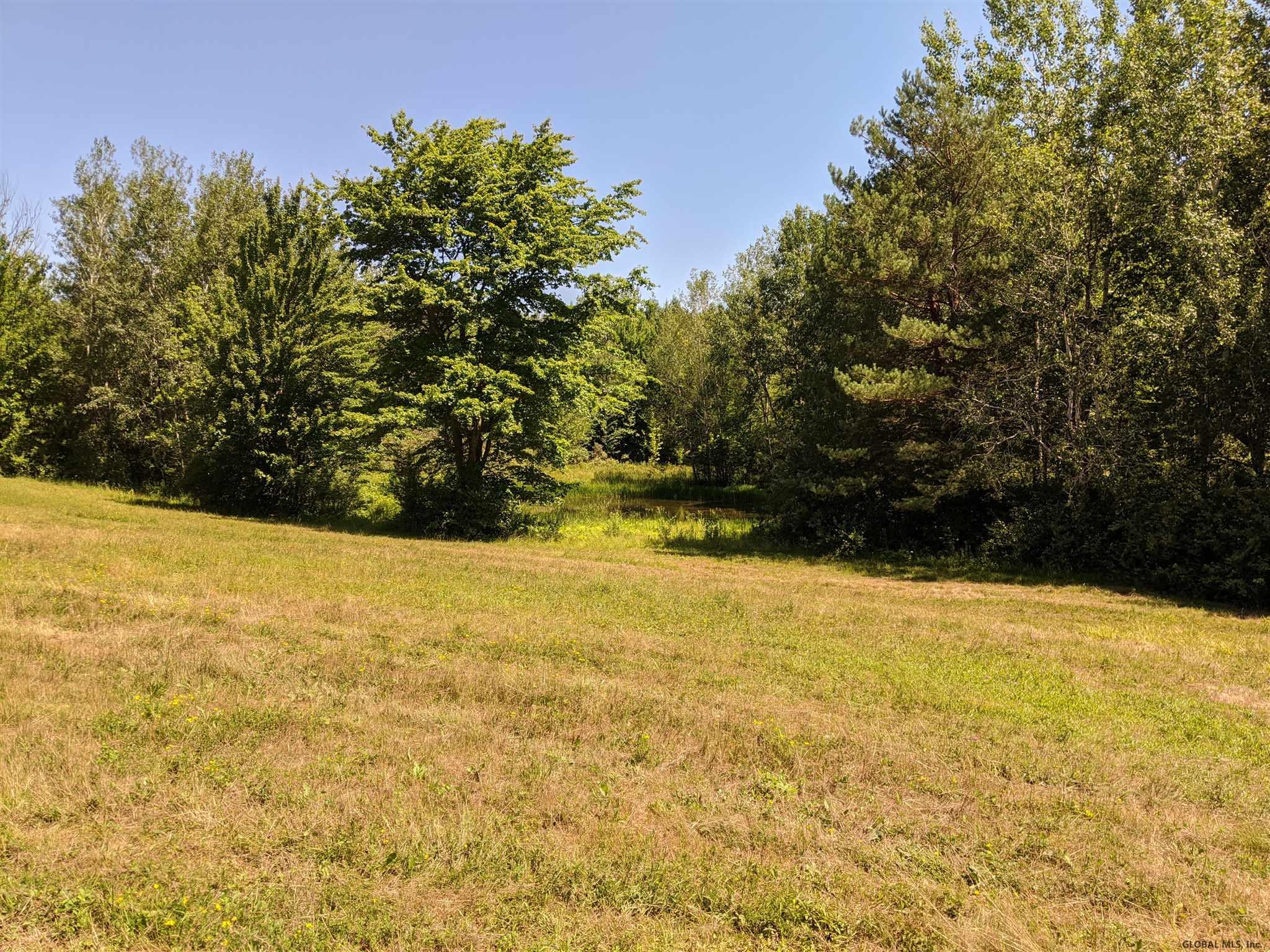 Mcmillan Road Delanson, NY 12053 - Photo 5 of 11 Photo 5