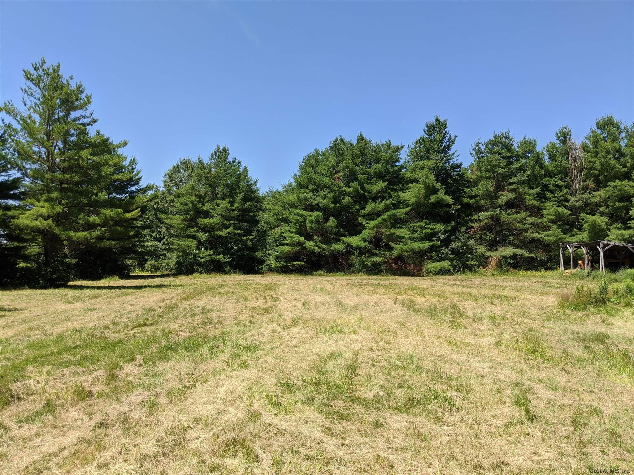 Mcmillan Road Delanson, NY 12053 - Photo 9 of 11 Photo 9