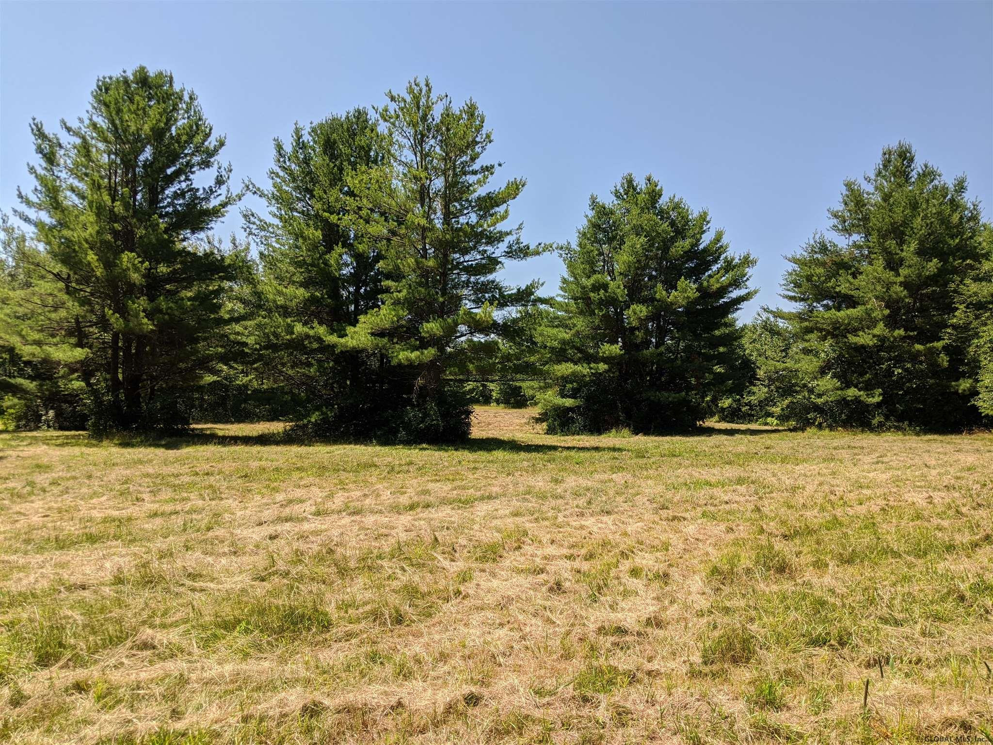 Mcmillan Road Delanson, NY 12053 - Photo 10 of 11 Photo 10
