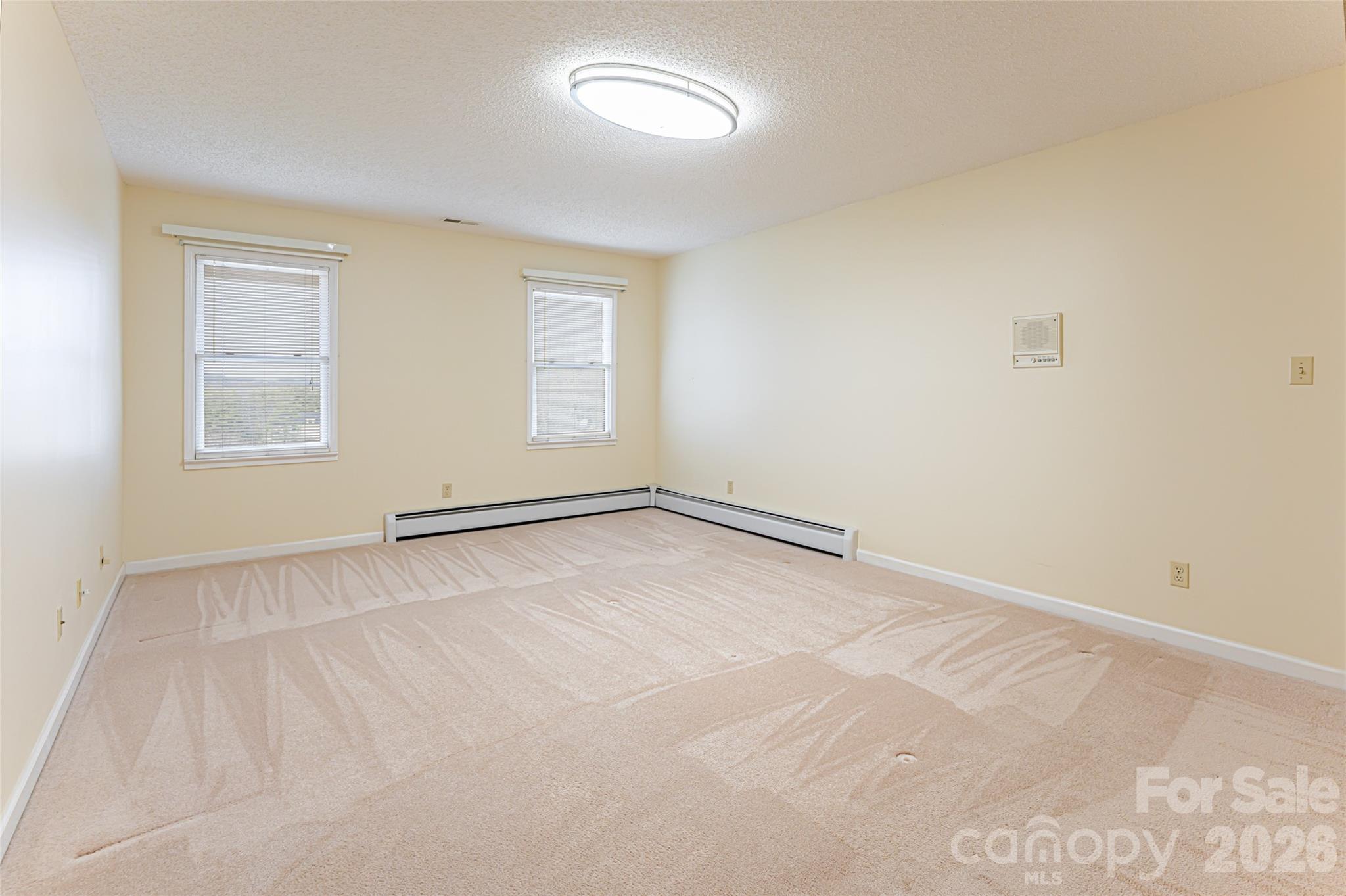 308 Gouges Branch Road Leicester, NC 28748 - Photo 32 of 47